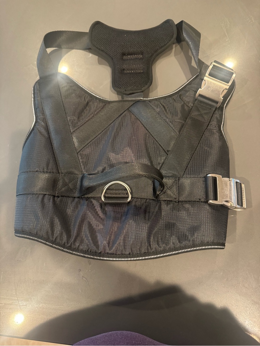 A XXL heavy duty harness for big dogs